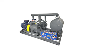 怎么預防水環(huán)式真空泵排氣爆鳴