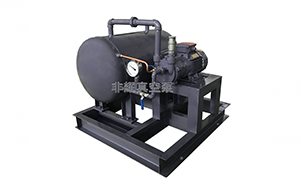 水環(huán)真空泵的不同型號的選擇